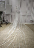 Glitter dots shiny long wedding veil - Anna's Couture Dresses