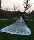 Cathedral length vintage lace trim wedding veil - Anna's Couture Dresses