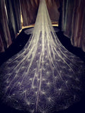 Sparking glitter cathedral length veil