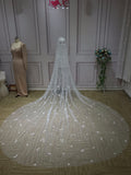 Stars with pearls beaded 3 meters length bridal wedding veil 2020