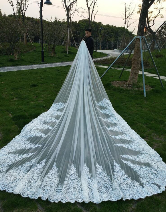 long lace trim wedding veil