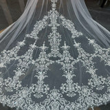 Charming lace appliqués bridal wedding veil at chapel cathedral length (3 meters )