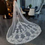 Charming lace appliqués bridal wedding veil at chapel cathedral length (3 meters )