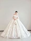Personally customized cored lace lace appliques ball gown skirt wedding dresses 2025 sweeping and cathedral length