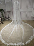 Long Lace appliques wedding veil - Anna's Couture Dresses