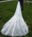 luxury crystals beaded wedding veil - Anna's Couture Dresses