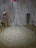 Stars with pearls beaded 3 meters length bridal wedding veil 2020