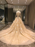 Long sleeves lace appliqués champagne tulle wedding dress