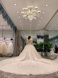 Long sleeves v neck champagne glitter fabric sparkling ball gown skirt wedding dress 2020
