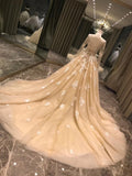 Long sleeves lace appliqués champagne tulle wedding dress