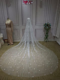 Pearls and floral cathedral length wedding veil 3 meters