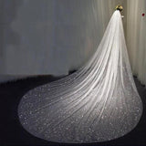 Glitter sparkling shiny long wedding veil